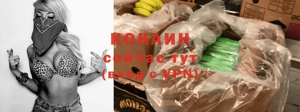 ГАЛЛЮЦИНОГЕННЫЕ ГРИБЫ Карталы