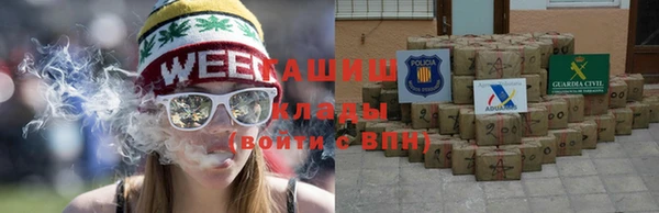 ГАЛЛЮЦИНОГЕННЫЕ ГРИБЫ Карталы