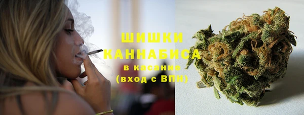 гашик Касимов