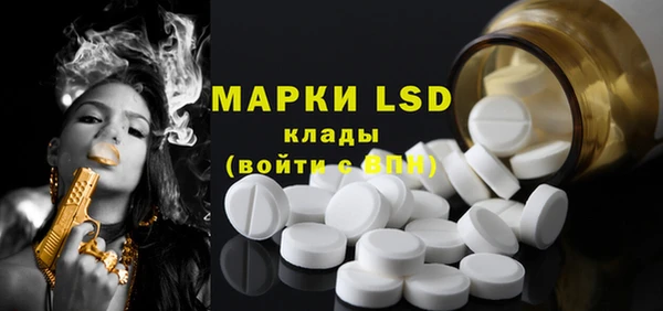 гидра Карпинск