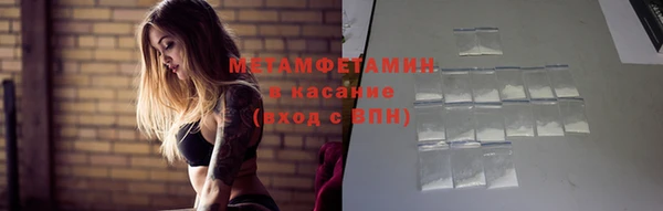 гидра Карпинск