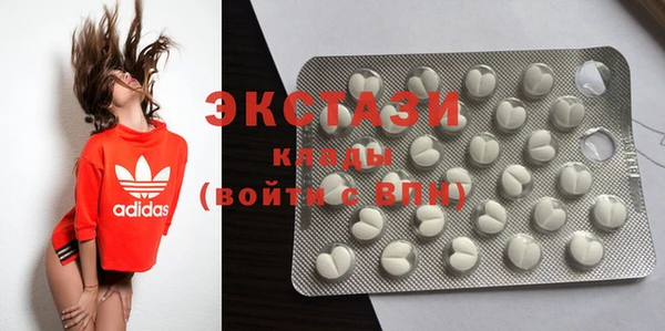 гидра Карпинск