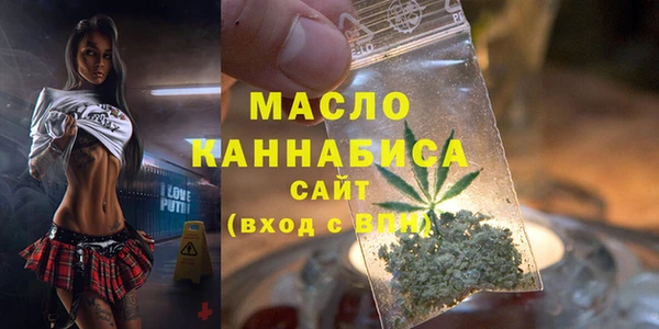 первитин Каменка