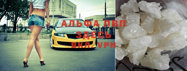 гашик Касимов