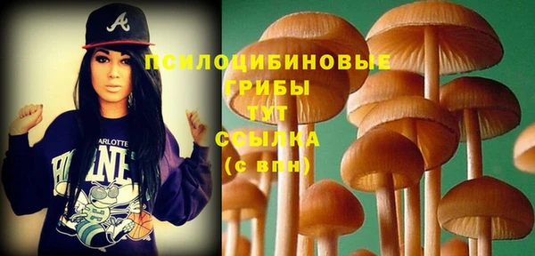 первитин Каменка