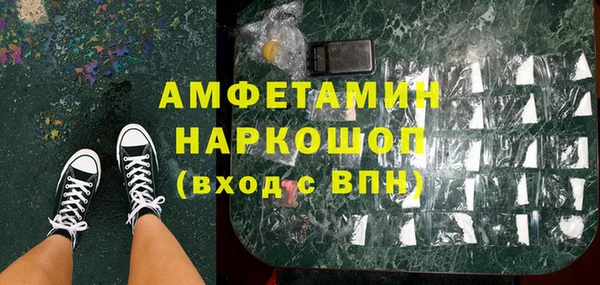 гидра Карпинск