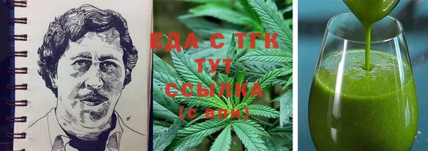гидра Карпинск