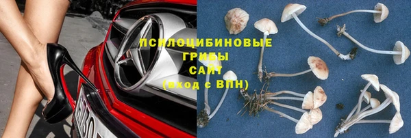 ГАЛЛЮЦИНОГЕННЫЕ ГРИБЫ Карталы