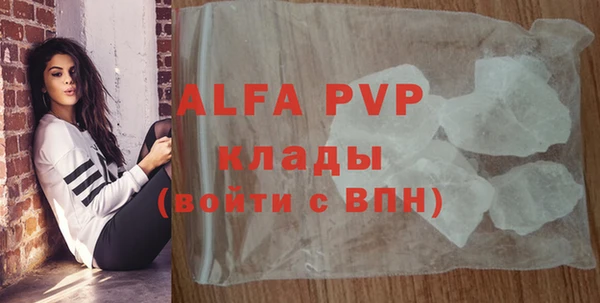 гидра Карпинск